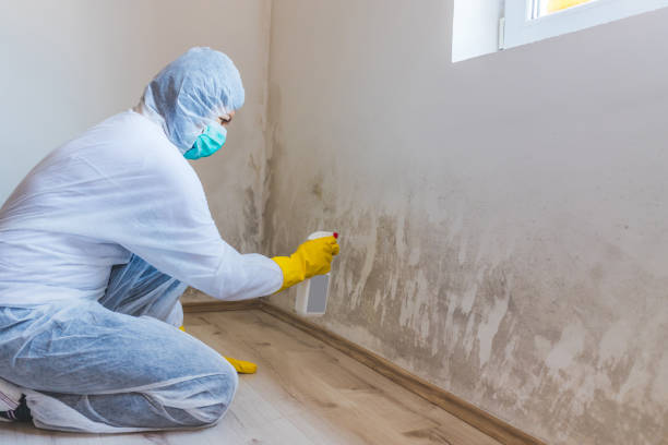 Mold Remediation specialist working in Florham Park